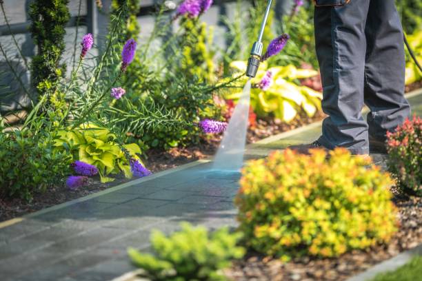 Best Parking Lot and Garage Cleaning  in Womelsdorf, PA